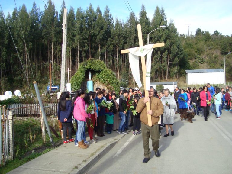 Curaco celebró con devoción el domingo de Ramos